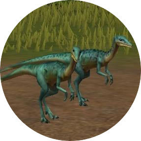 RocProc333
