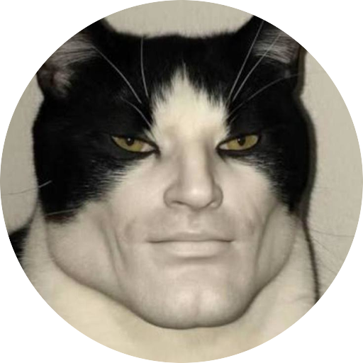 Cats & more