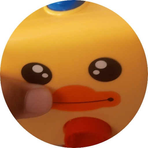 duck toy