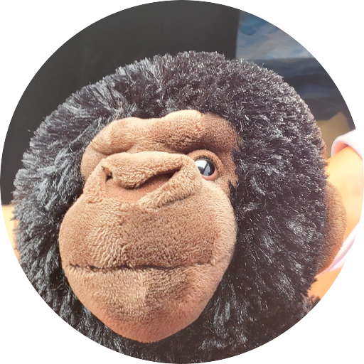 ms monkey