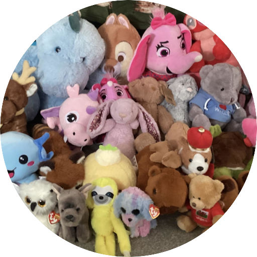 the wonders of teddies