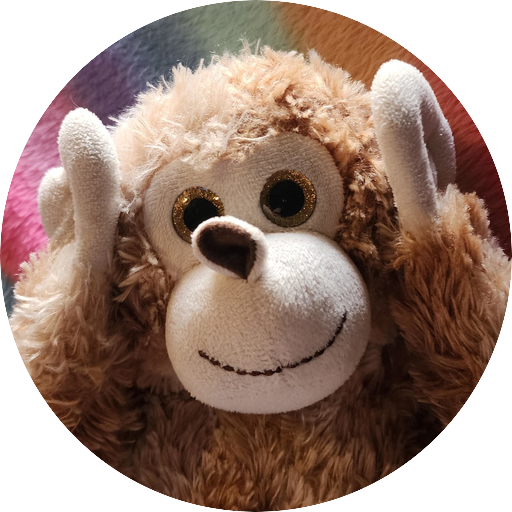 toys4you v2