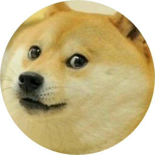 the doge