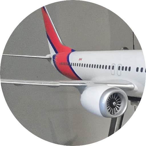 plane lover 1256.