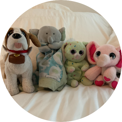 Plushies and friends🧸