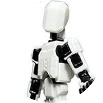 White t13