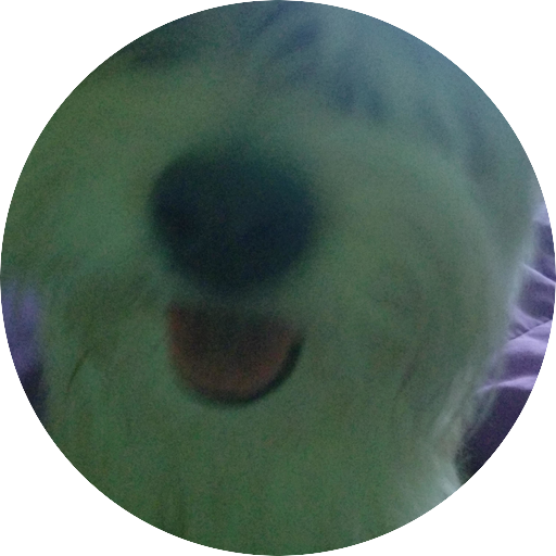 hehe