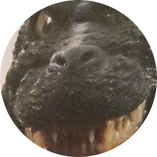 godzilla fan