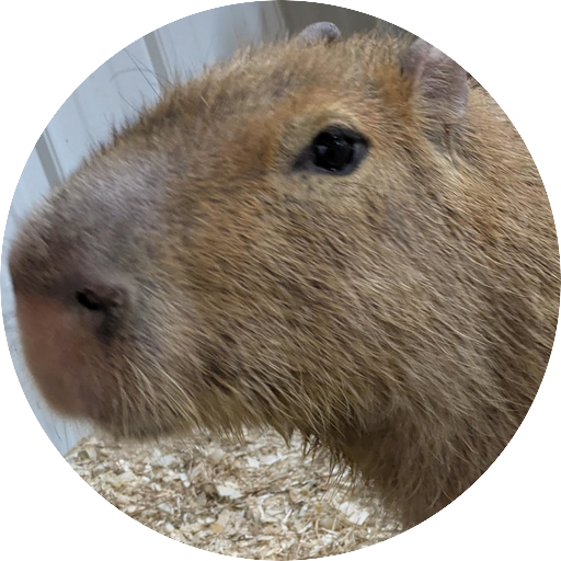 I♥️capybaras