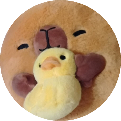 Mini Capybara