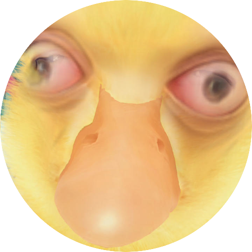 ducky