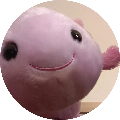 bob adventures
