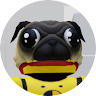 DaPugMaster
