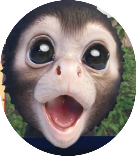 monkey