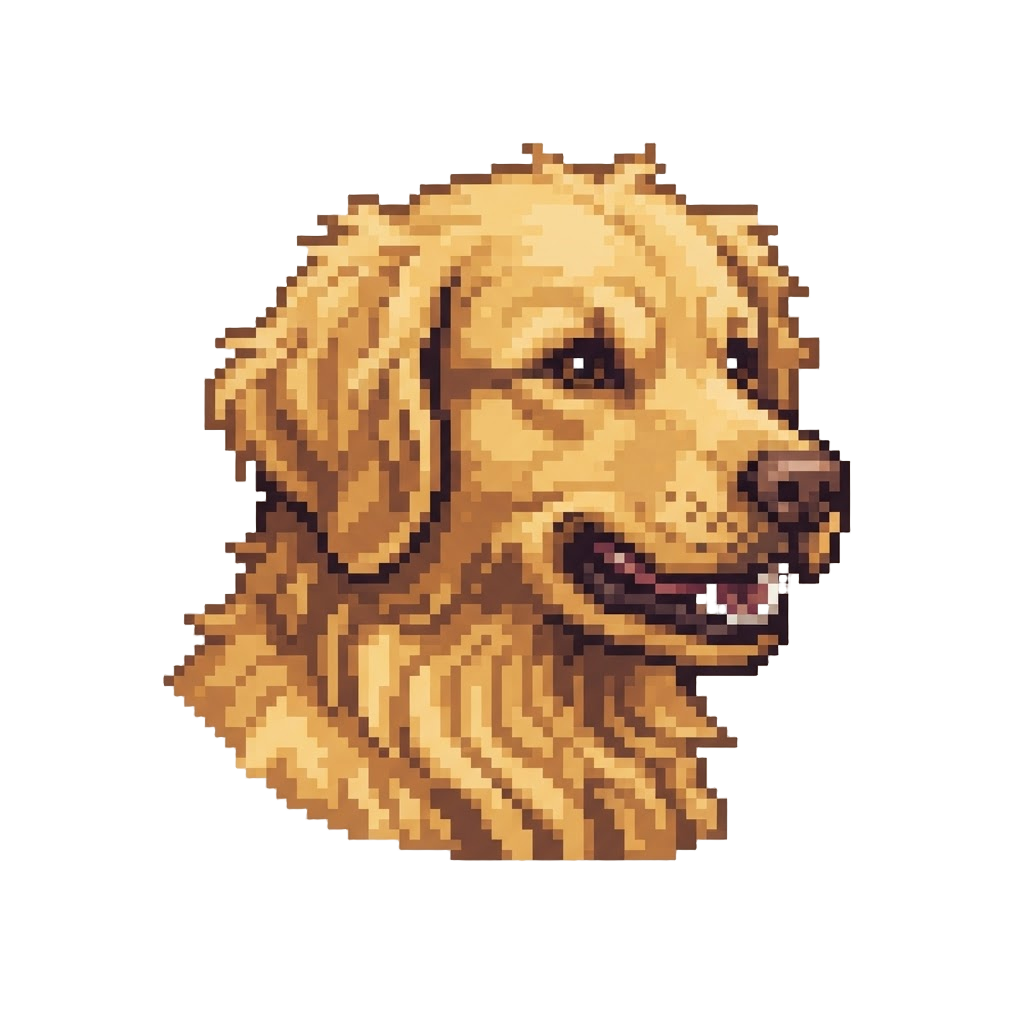 A Shaggy Growling Golden Retriever