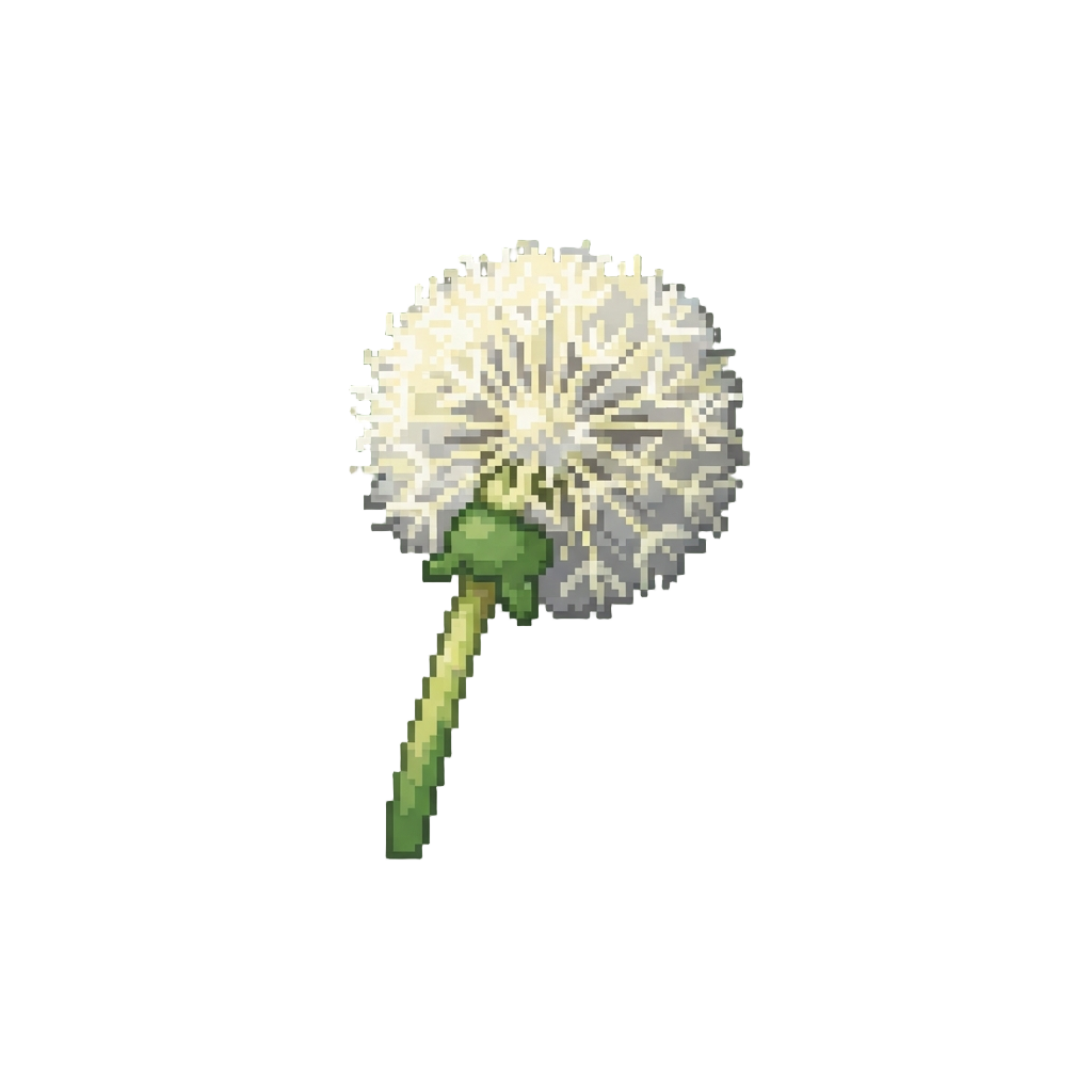A Single Dandelion Puffball