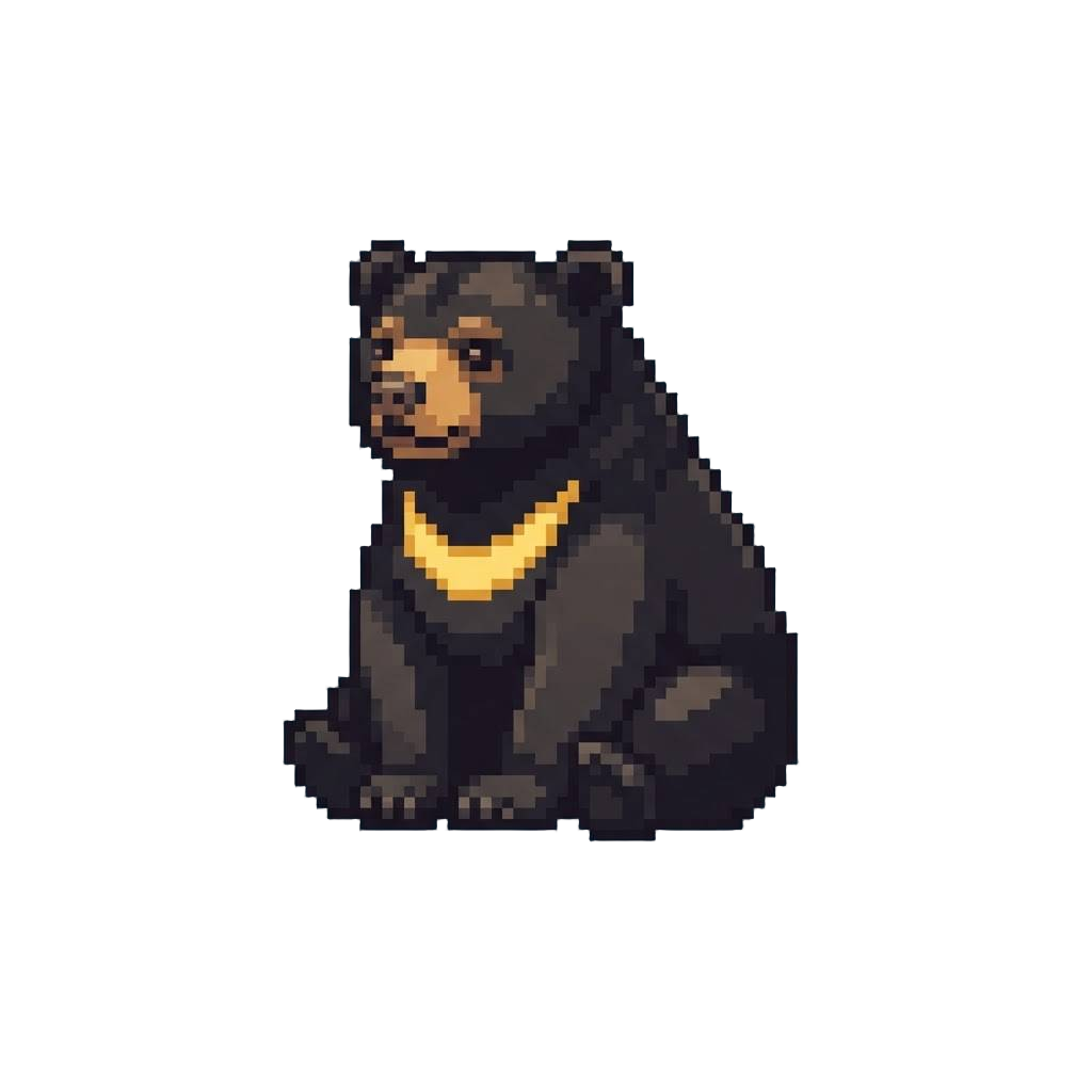 A Massive Sun Bear with a Radiant Gold Crescent Chest Mark