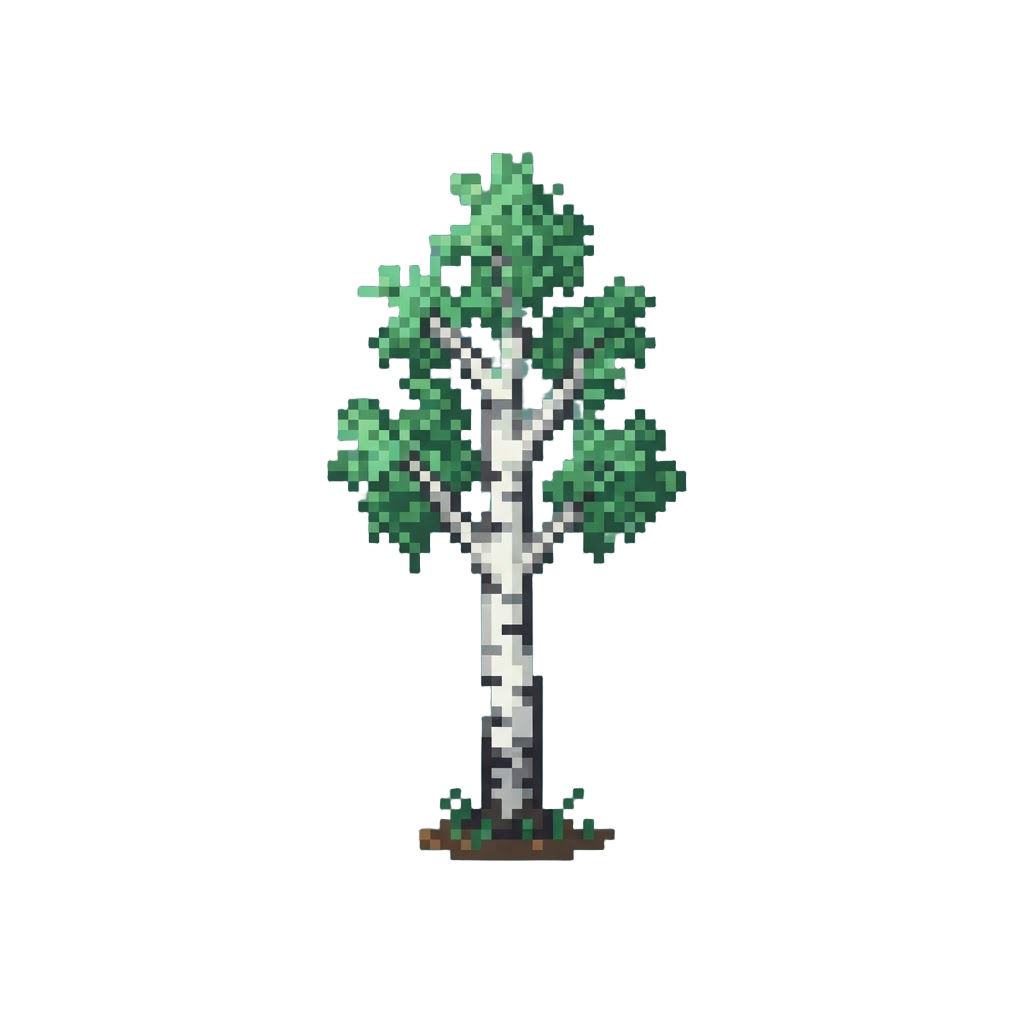 A Tall Birch Tree with Slender Branches