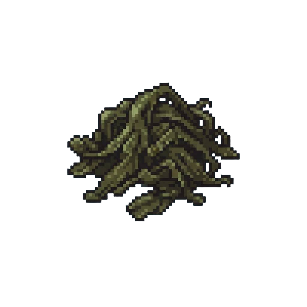 A Soggy Tangle of Old Seaweed
