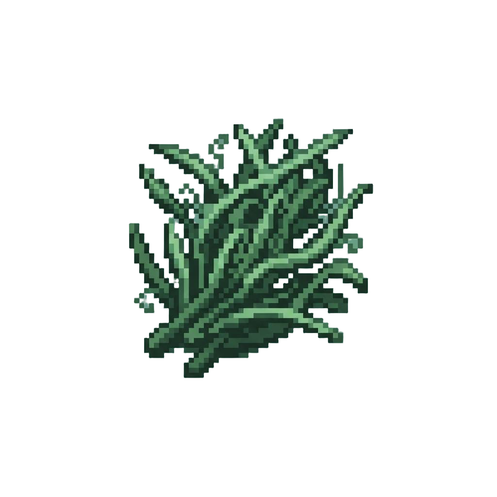 A Tangled Bunch of Pond Weeds