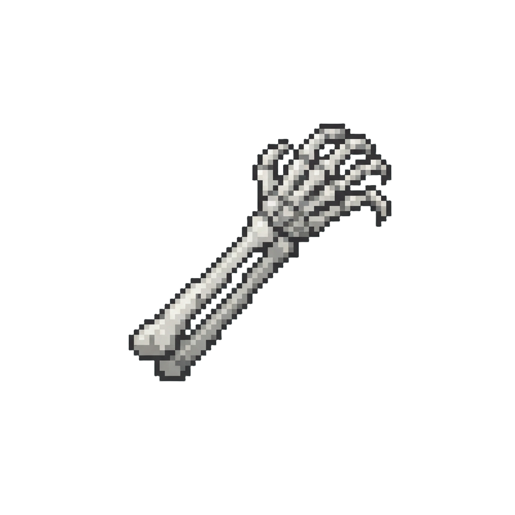 A Skeletal Bony White Arm