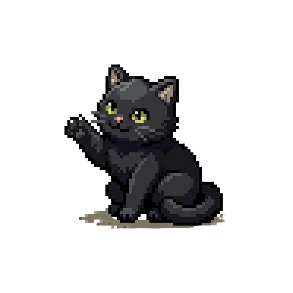 A Playful Little Black Cat
