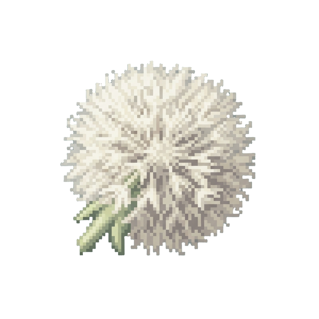 A Ridiculous Pom-pom Style Resembling a Fuzzy Dandelion Seed Head