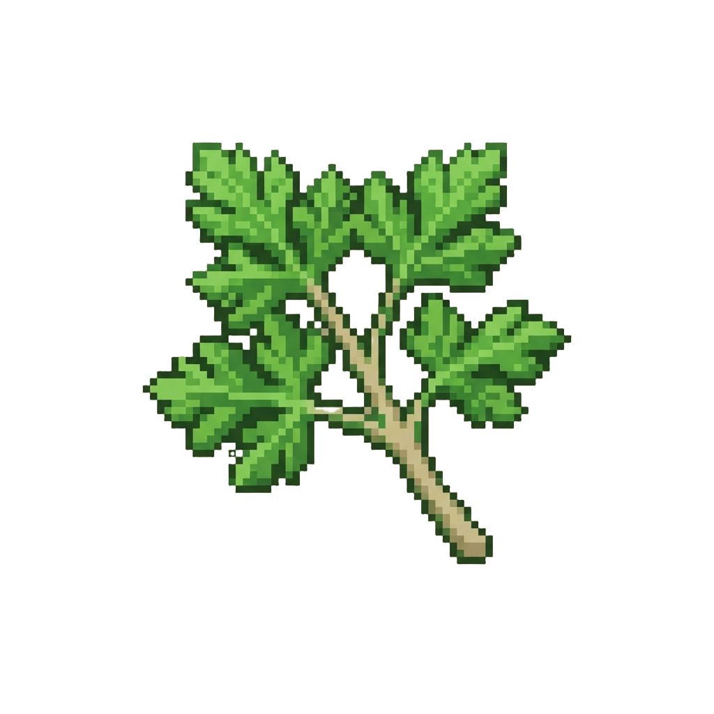 A Delicate Piece of Fresh Parsley