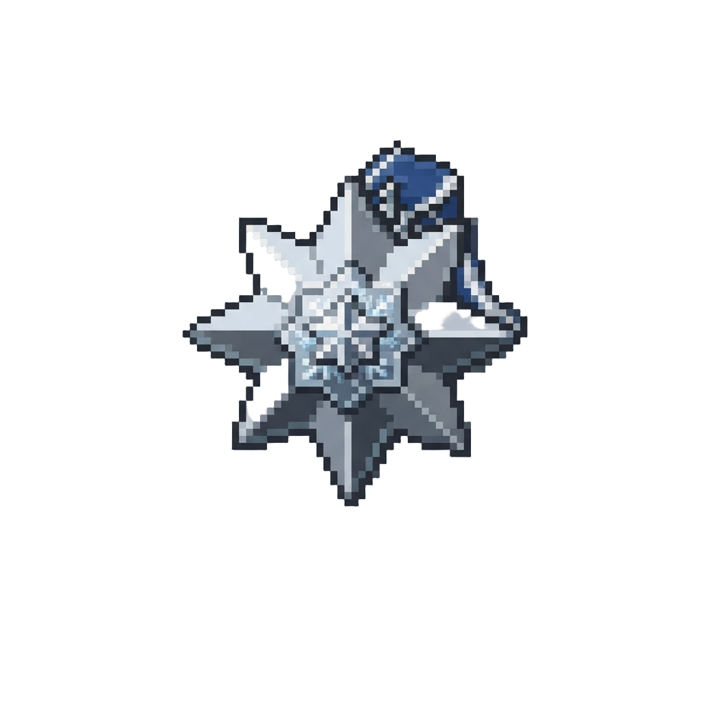 A Silver Winter Star Medal