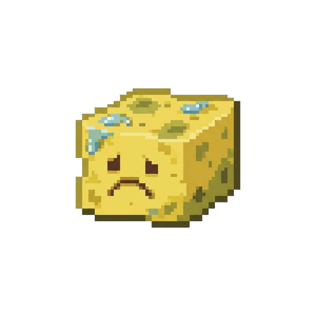 A Single Sad Wet Sponge