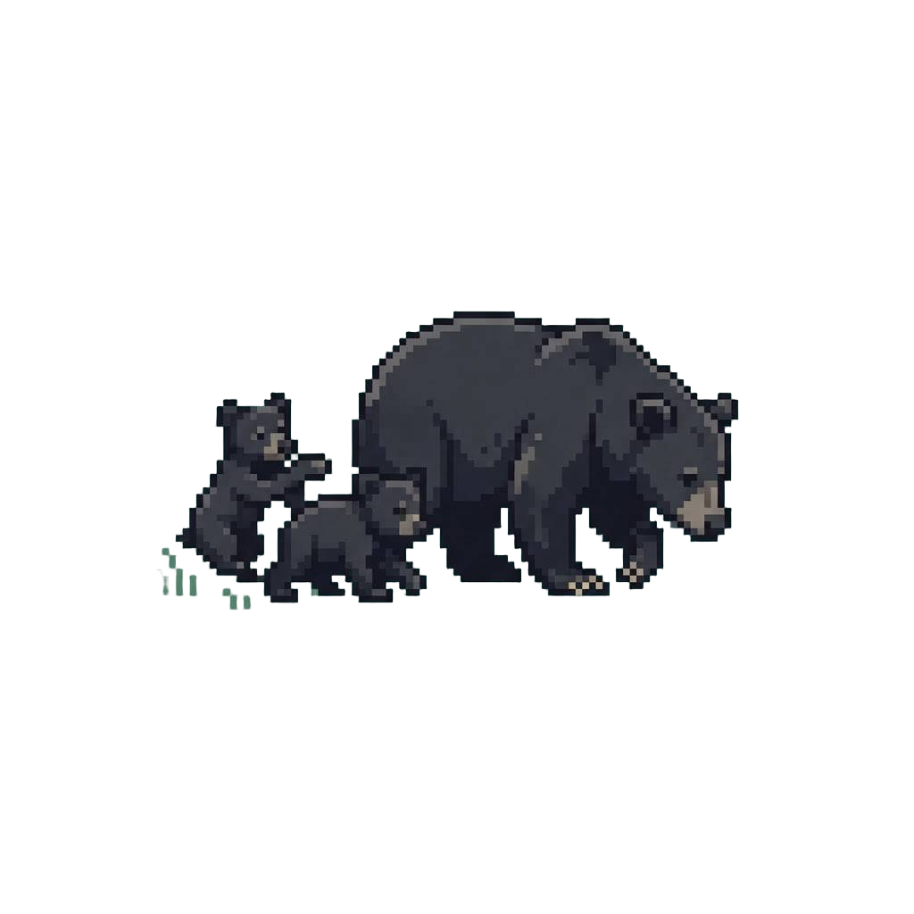 A Mother Black Bear and Two Playful Cubs Foraging Peacefully Across a Meadow
