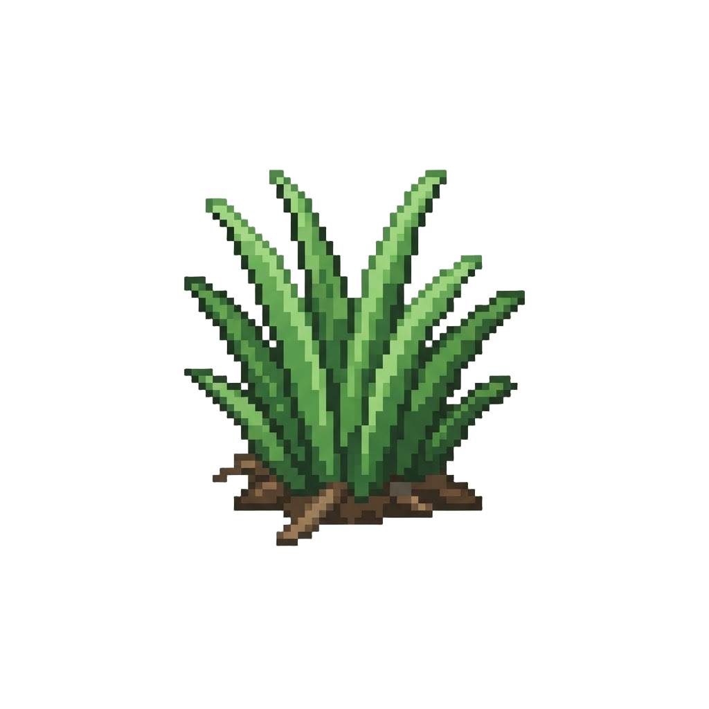 A Stray Tuft of Tall Grass