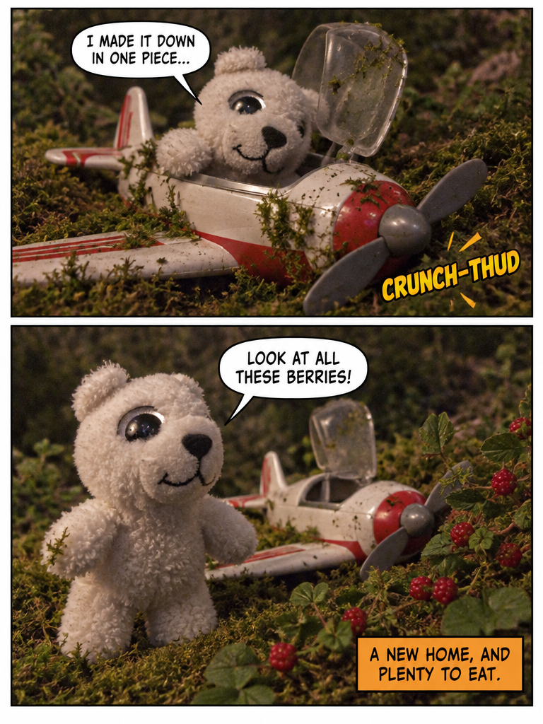 Canada's Long Flight Home (page 4 of 4)