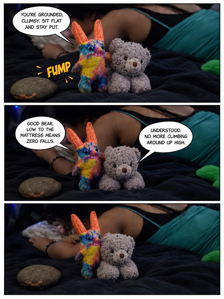 Grounded Bear on Night Watch (page 2 of 4)