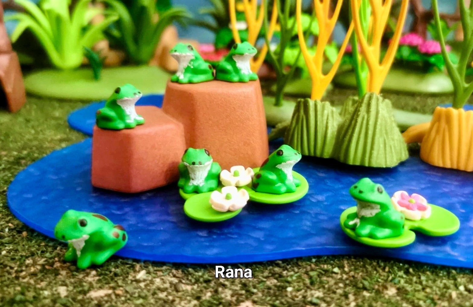 rana común | NaukNauk