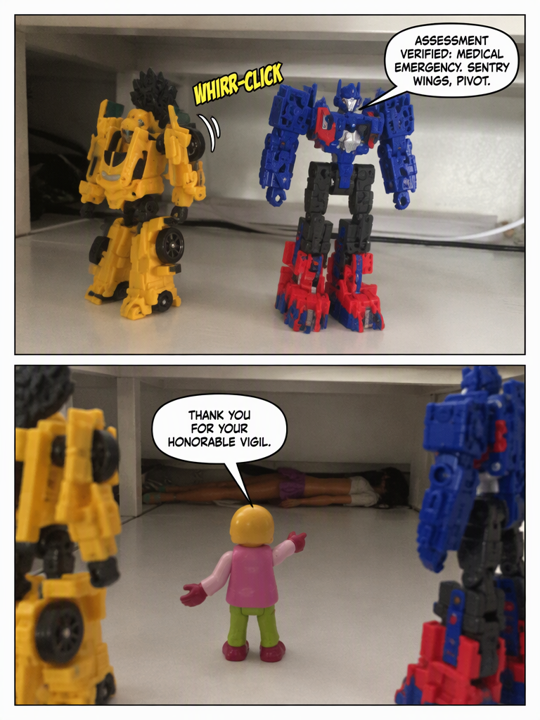 Shelf Patrol Stand-Down (page 3 of 4)