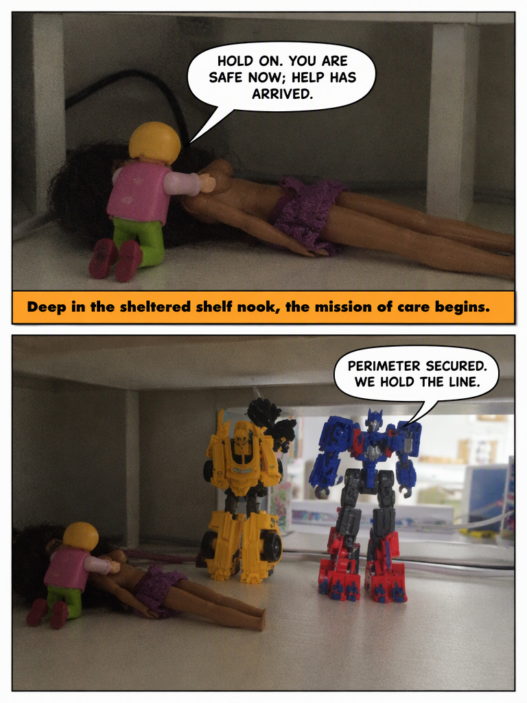 Shelf Patrol Stand-Down (page 4 of 4)