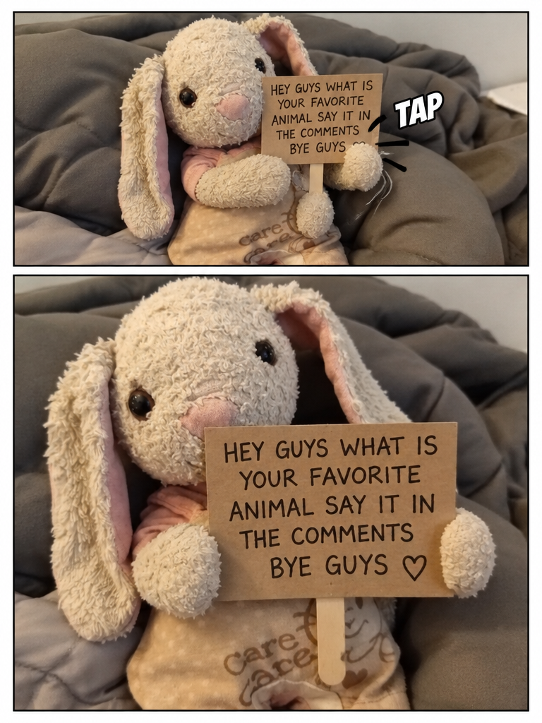 Favorite Animal Sign (page 3 of 4)