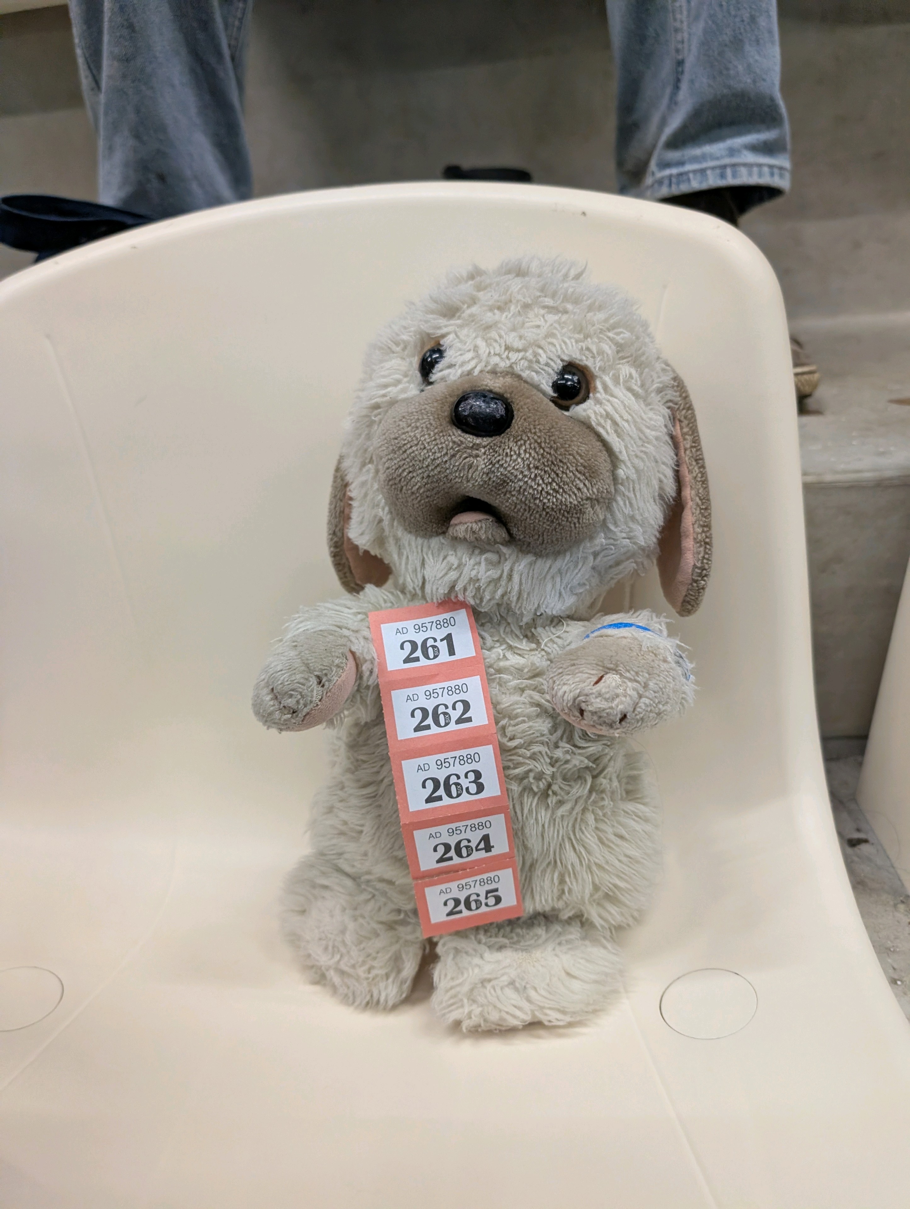 doggie wins the raffle | NaukNauk