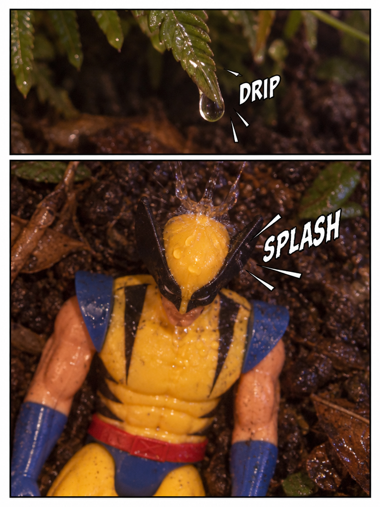 Rainforest Slumber (page 2 of 4)