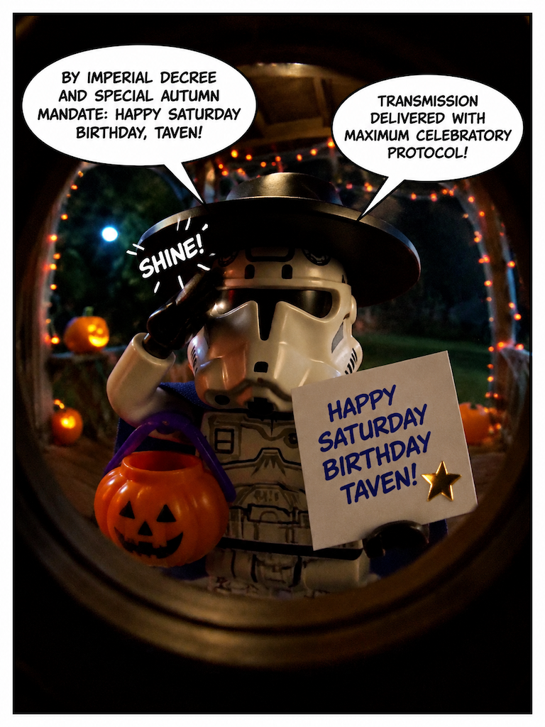 The Stormtrooper's Saturday Directive (page 3 of 4)