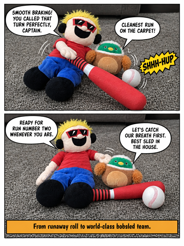 The Carpet Bobsled Team (page 4 of 4)