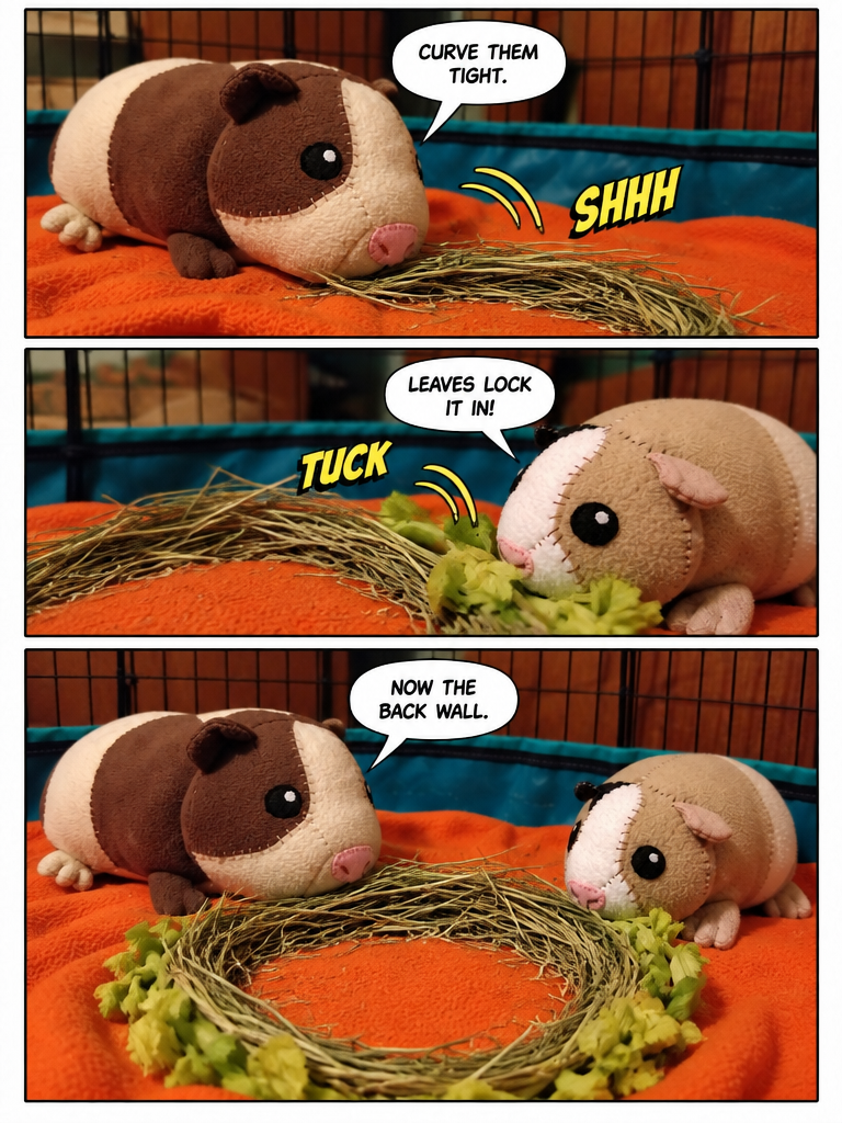 Building the Cozy Nest (page 2 of 4)
