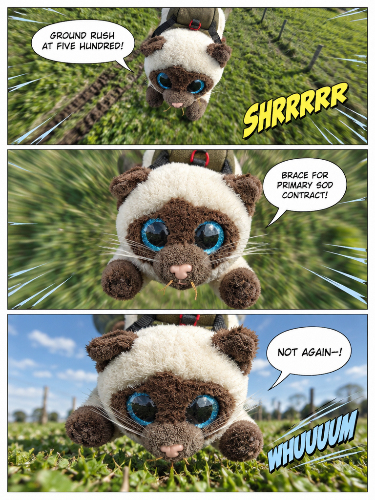 Miso's Second Plunge (page 4 of 4)