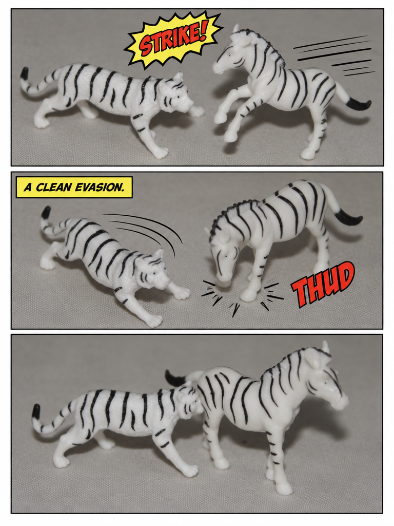Stripes on the Mat: Knockout Showdown (page 2 of 4)