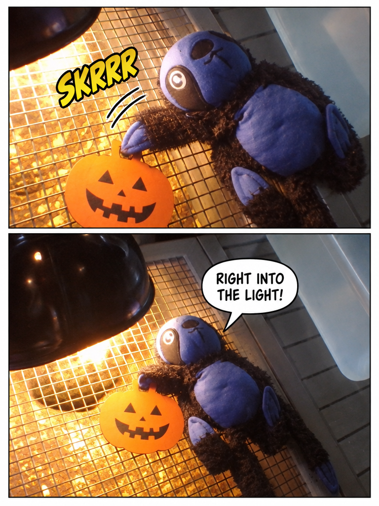 Spooky Light in the Enclosure (page 2 of 4)