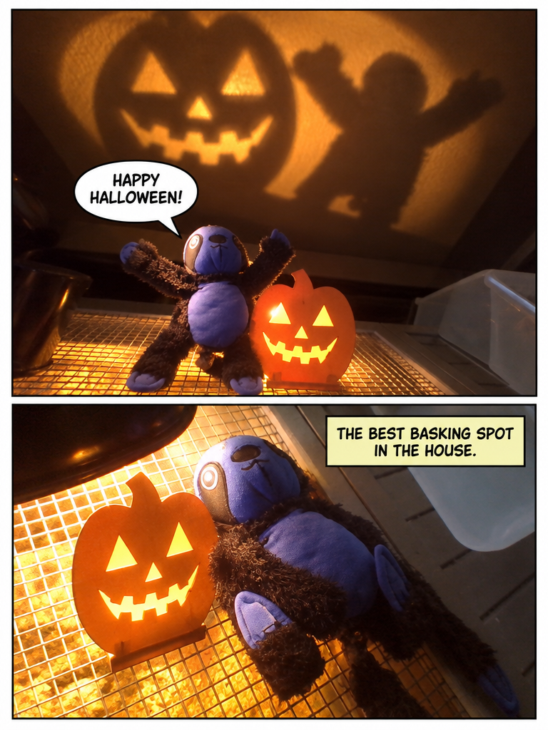 Spooky Light in the Enclosure (page 4 of 4)