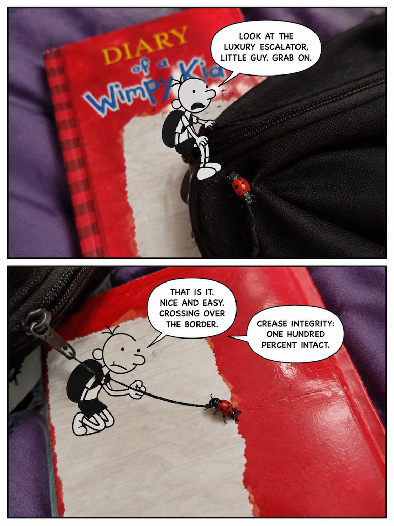 A Tiny Sentry on the Seam (page 3 of 4)