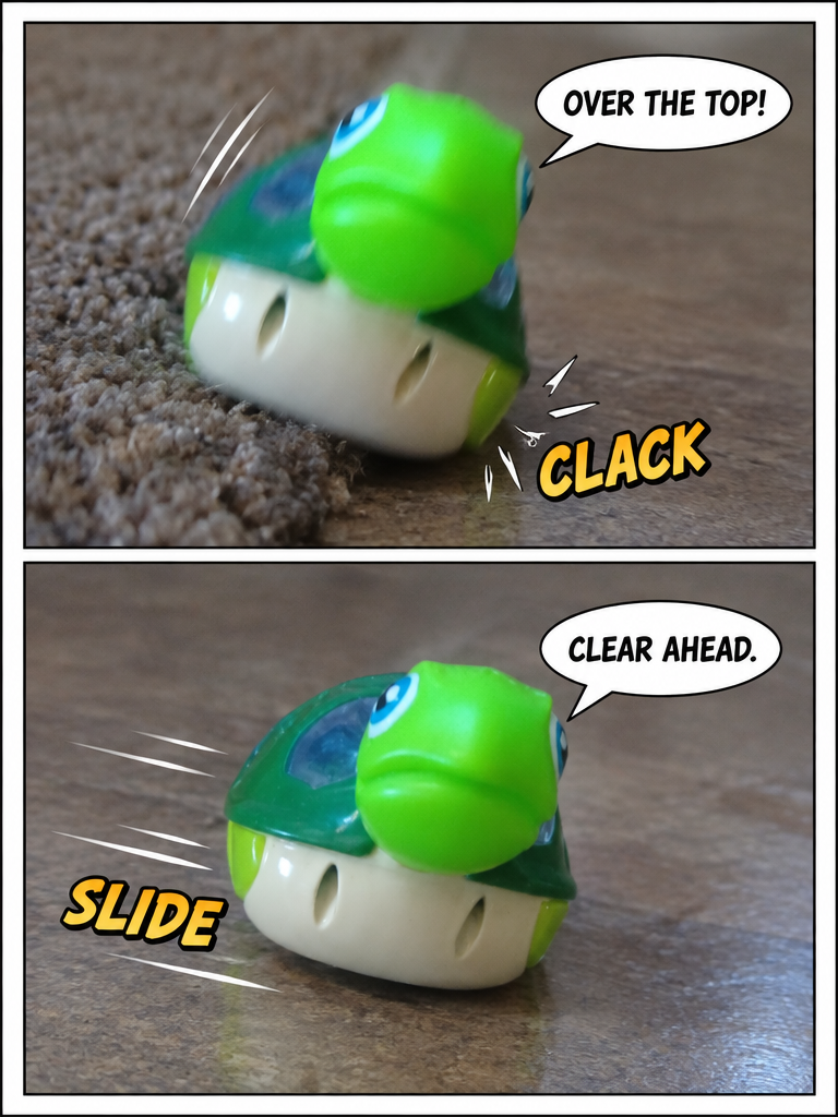 The Little Turtle's Carpet Crossing (page 4 of 4)