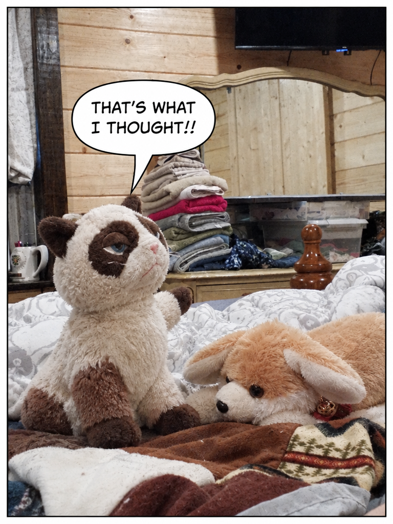 Sunday Room Cleaning (page 4 of 4)